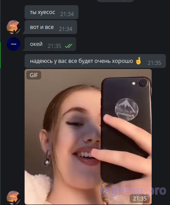 1665166049752.png