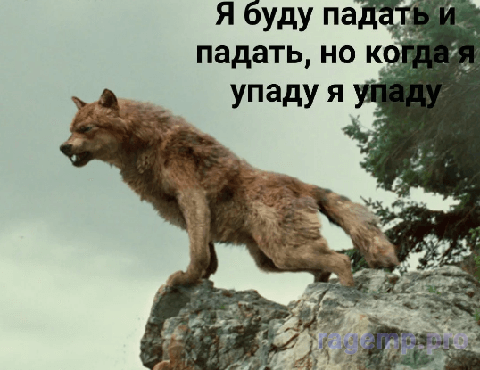 1665399078916.png