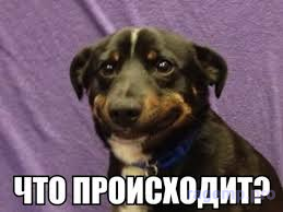 1744490429161.png