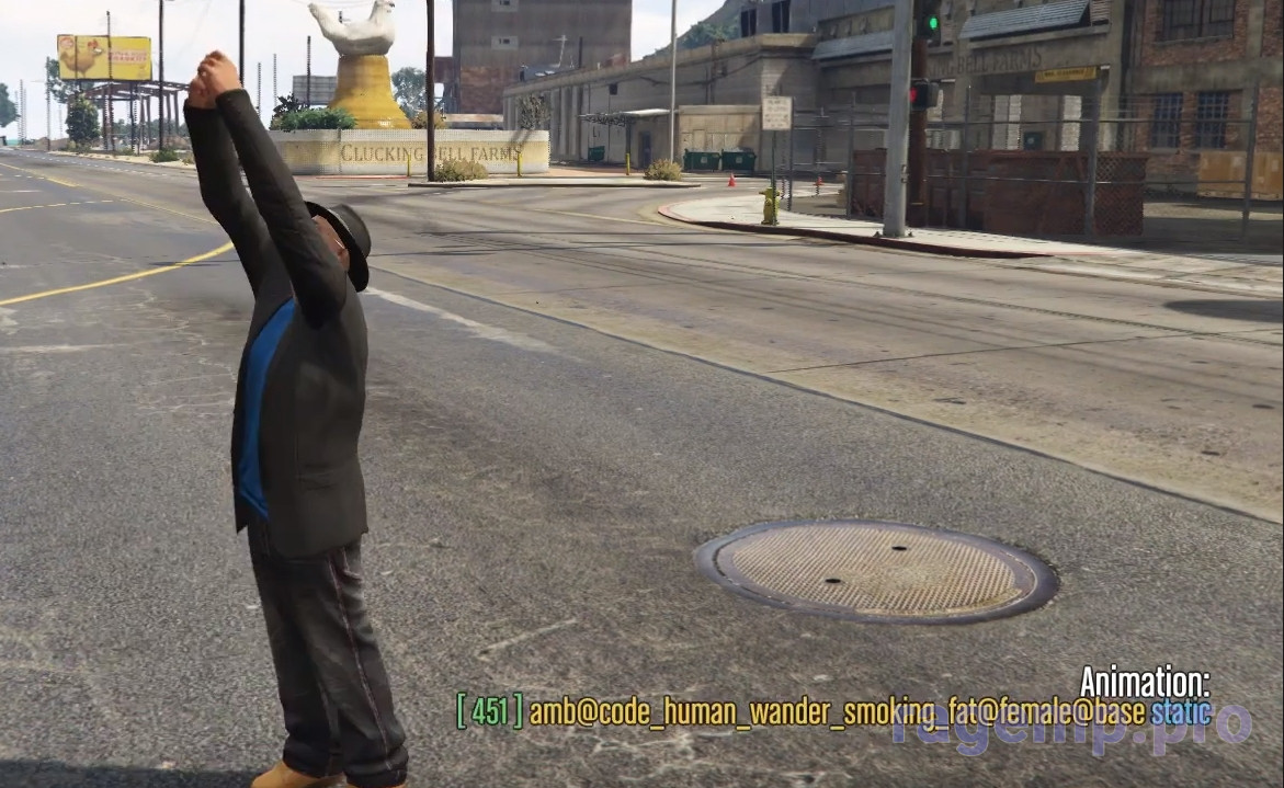 2020-09-14 22_08_40-Animation Viewer - Scripts - RAGE Multiplayer Community.jpg