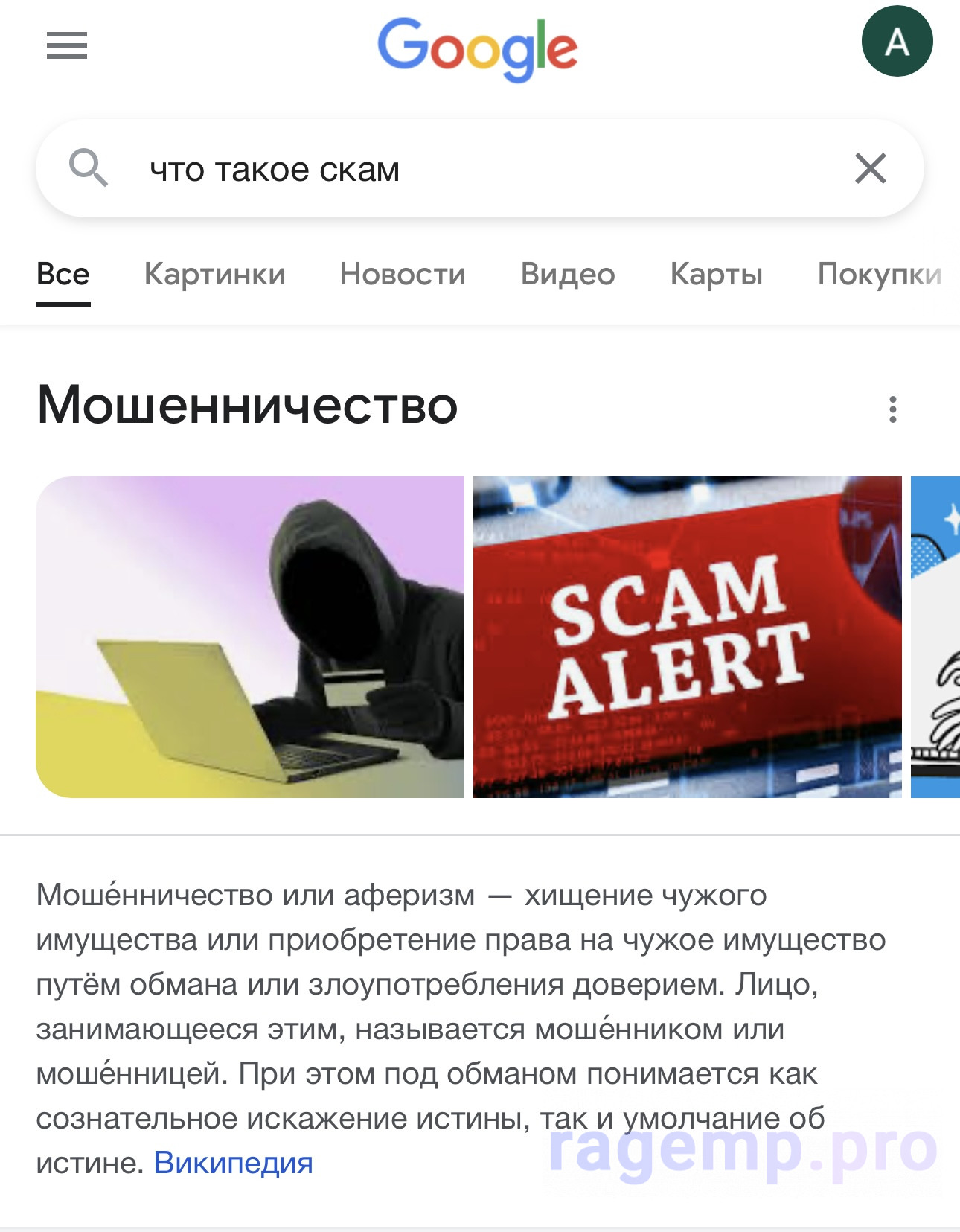 37181BED-D2EE-4072-8630-6842A2AFD22C.jpeg