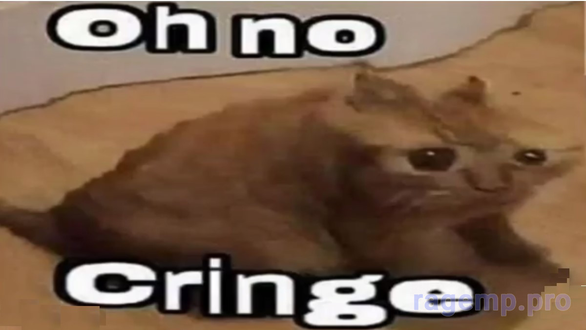 8679305.jpg
