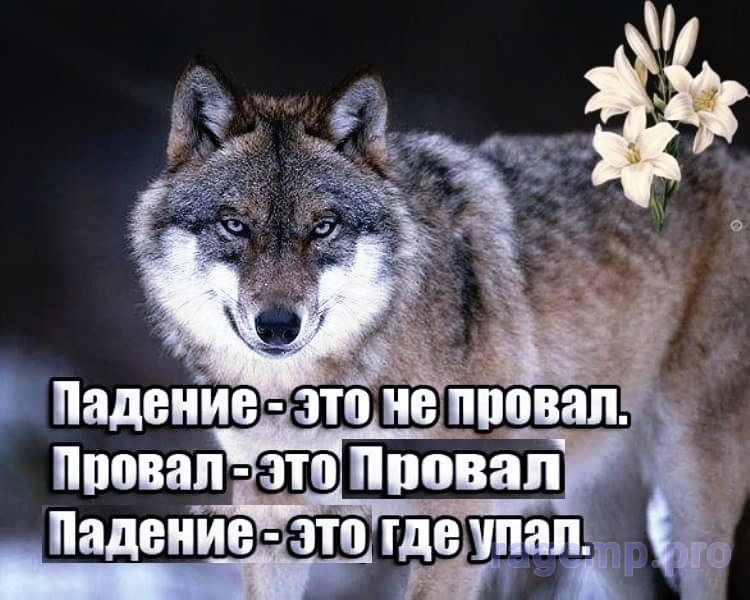 8tmi779yK14nif_KmHGpM9ECDJ-doEdL8y3SZ06fWsZ5pYYfNY1AIub_389mdqhajleVoPsY0V5NsSYOtRElpJ4h.jpg