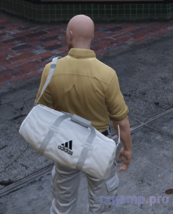 bag_90.png