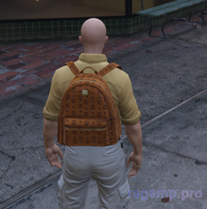 bag_91.png