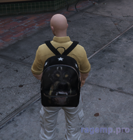 bag_93.png