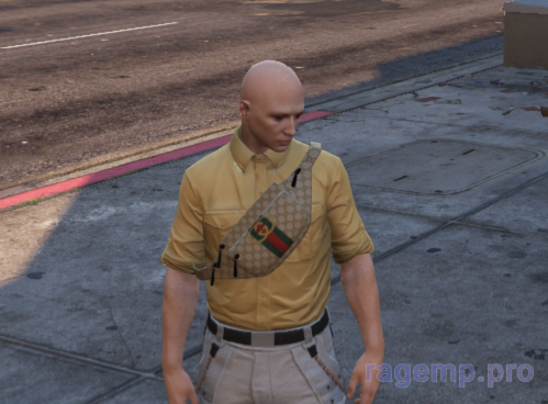 bag_94.png