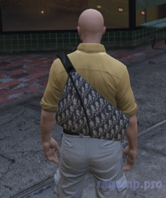 bag_95.png