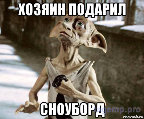 dobbi_88503956_orig_.jpg