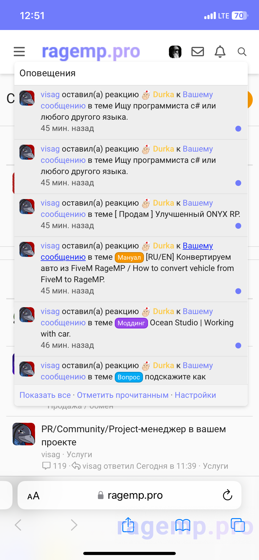 IMG_0074.png