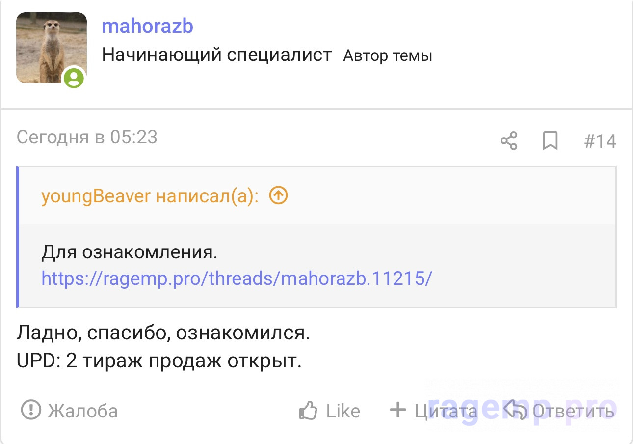 IMG_0884.jpeg