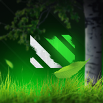 IMG_3317.png