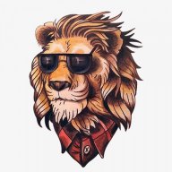 Feniks_WSE