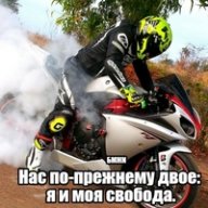 Барс5444