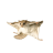 ree