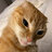 Miusticat