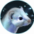 weaselcloud