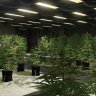 Открытый интерьер подпольной нарколаборатории для сервера RAGE:MP